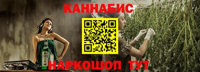 дмт Гатчина