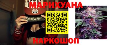 дмт Гатчина
