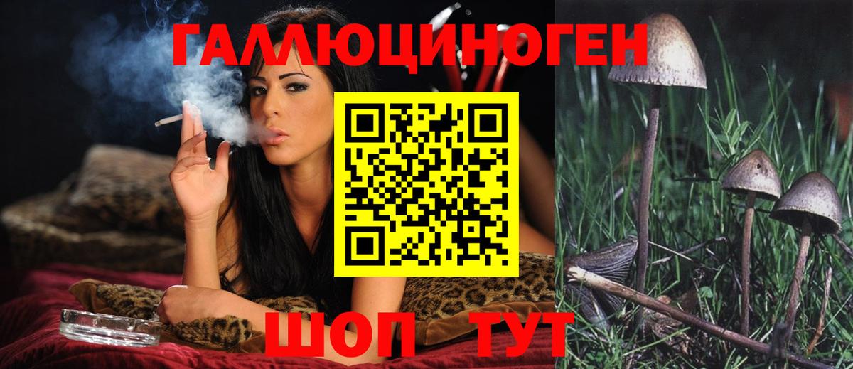 Галлюциногенные грибы Psilocybe  Кизилюрт  Псилоцибиновые грибы мицелий 